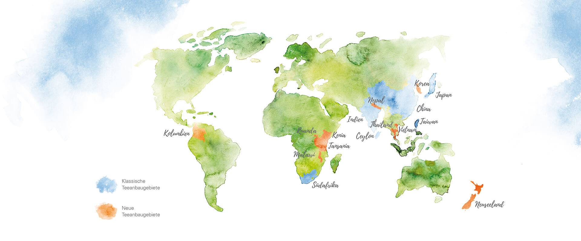Gemalte Weltkarte mit verzeichneten Teeanbaugebieten
